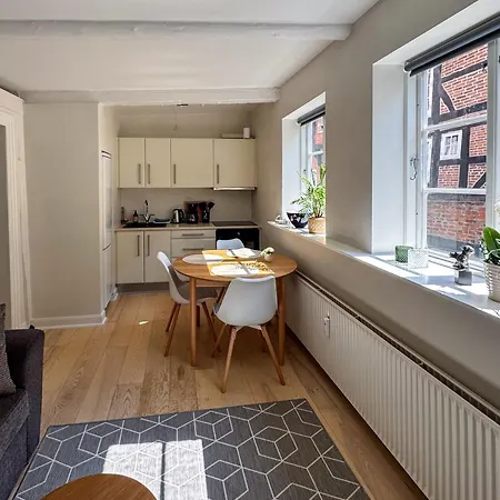 Apartment Hyggelig I Hjertet Af Ribe